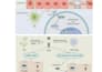 create professional biomedical 3d moa animation